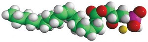 18:1 Lyso PA Avanti Research&#8482; - A Croda Brand