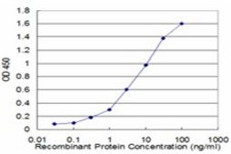 Monoclonal Anti-ENO3 antibody produced in mouse clone 3C6, purified immunoglobulin, buffered aqueous solution