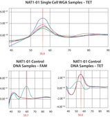 GenomePlex&#174; Single Cell Whole Genome Amplification Kit Amplify genome of a single cell