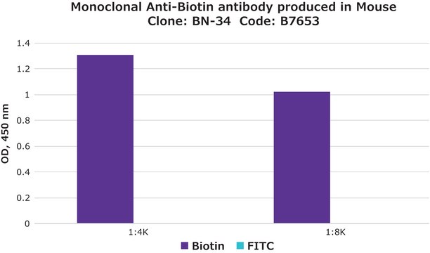 Monoclonal Anti-Biotin antibody produced in mouse clone BN-34, ascites fluid