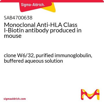 Monoclonal Anti-HLA Class I-Biotin antibody produced in mouse clone W6/32, purified immunoglobulin, buffered aqueous solution