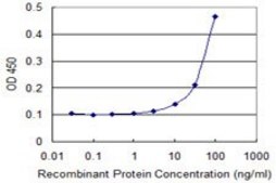 ANTI-FOXC2 antibody produced in mouse clone 4A3, purified immunoglobulin, buffered aqueous solution