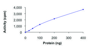 c-KIT (Y823D), active, GST tagged human PRECISIO&#174;, recombinant, expressed in baculovirus infected Sf9 cells, &#8805;70% (SDS-PAGE), buffered aqueous glycerol solution