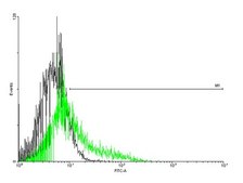 Anti-IL13RA2 antibody produced in mouse purified immunoglobulin, buffered aqueous solution