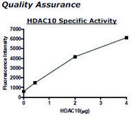 HDAC-10 human recombinant, expressed in baculovirus infected insect cells, &#8805;10% (SDS-PAGE)