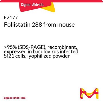 Follistatin 288 from mouse &gt;95% (SDS-PAGE), recombinant, expressed in baculovirus infected Sf21 cells, lyophilized powder