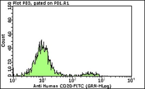 Milli-Mark Anti-CD20 -FITC Antibody, clone B-Ly1 clone B-Ly1, Milli-Mark&#174;, from mouse