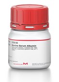 Bovine Serum Albumin heat shock fraction, protease free, fatty acid free, essentially globulin free, pH 7, &#8805;98%