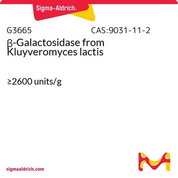 &#946;-Galactosidase from Kluyveromyces lactis &#8805;2600&#160;units/g