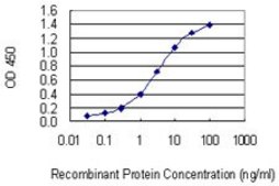 Monoclonal Anti-MMP28 antibody produced in mouse clone 3C11, purified immunoglobulin, buffered aqueous solution