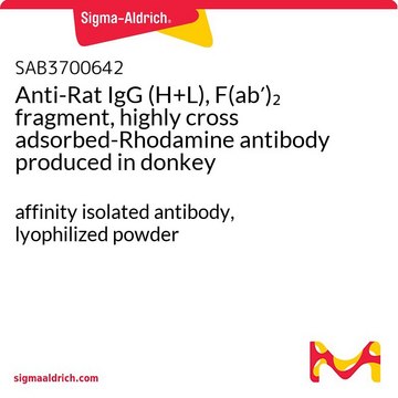 Anti-Rat IgG (H+L), F(ab&#8242;)2 fragment, highly cross adsorbed-Rhodamine antibody produced in donkey affinity isolated antibody, lyophilized powder