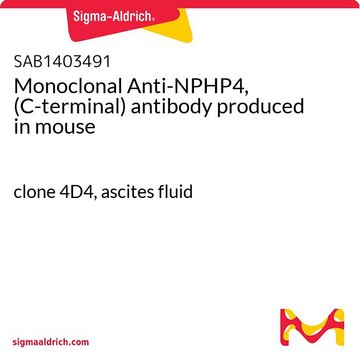 Monoclonal Anti-NPHP4, (C-terminal) antibody produced in mouse clone 4D4, ascites fluid