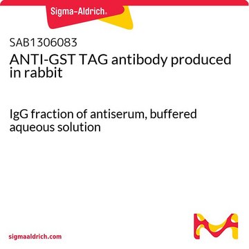 ANTI-GST TAG antibody produced in rabbit IgG fraction of antiserum, buffered aqueous solution