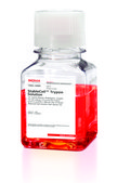 StableCell&#8482; Trypsin Solution 10X, sterile-filtered, BioReagent, suitable for cell culture, 5.0 g porcine trypsin and 2 g EDTA, 4Na per liter of 0.9% sodium chloride