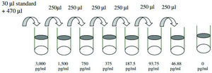 Human BMP2 ELISA Kit for serum, plasma, cell culture supernatant and urine