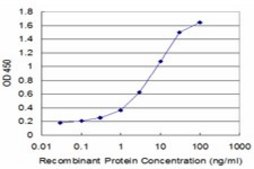 Monoclonal Anti-DES, (C-terminal) antibody produced in mouse clone 1D12, purified immunoglobulin, buffered aqueous solution