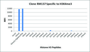 Anti-Trimethyl-Histone H3 (Lys4) antibody, Rabbit monoclonal recombinant, expressed in HEK 293 cells, clone RM137, purified immunoglobulin