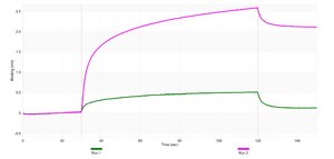 Anti-PPAR&#948; Antibody, clone 1I8 ZooMAb&#174; Rabbit Monoclonal recombinant, expressed in HEK 293 cells