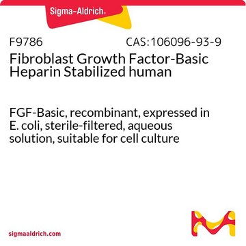 Fibroblast Growth Factor-Basic Heparin Stabilized human FGF-Basic, recombinant, expressed in E. coli, sterile-filtered, aqueous solution, suitable for cell culture