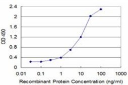 Monoclonal Anti-IFNGR2 antibody produced in mouse clone 2D9, purified immunoglobulin, buffered aqueous solution