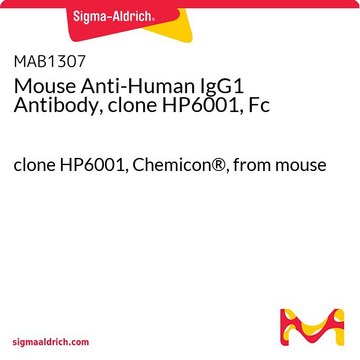 Mouse Anti-Human IgG1 Antibody, clone HP6001, Fc clone HP6001, Chemicon&#174;, from mouse