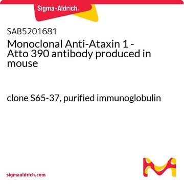 Monoclonal Anti-Ataxin 1 - Atto 390 antibody produced in mouse clone S65-37, purified immunoglobulin