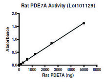 PDE7A active rat recombinant, expressed in baculovirus infected Sf9 cells, &#8805;30% (SDS-PAGE)