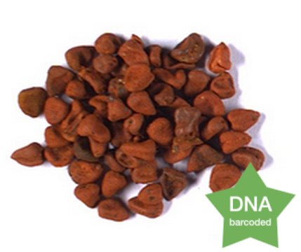 Bixa orellana Seed Botanical reference material