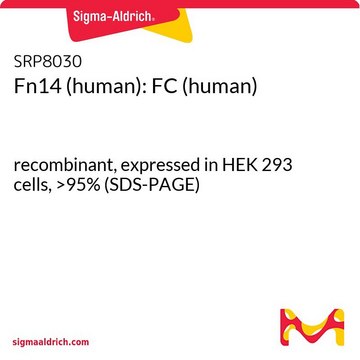 Fn14 (human): FC (human) recombinant, expressed in HEK 293 cells, &gt;95% (SDS-PAGE)