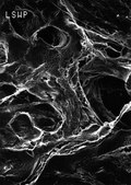 Filtre membrane en PTFE, dimension de pores de 5,0&nbsp;&#956;m Mitex&#8482;, filter diam. 142&#160;mm, hydrophobic