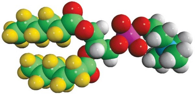 06:0 PC-d22 Avanti Research&#8482; - A Croda Brand 790427P, powder