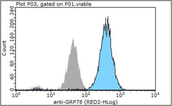 Anti-GRP78 Antibody, clone C38 clone C38, from mouse