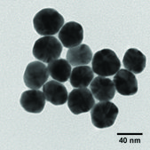 Silver, dispersion nanoparticles, 40&#160;nm particle size (TEM), 0.02&#160;mg/mL in aqueous buffer, contains sodium citrate as stabilizer