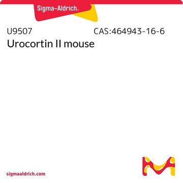 Urocortin II mouse