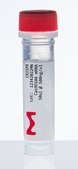 Cas9 mRNA