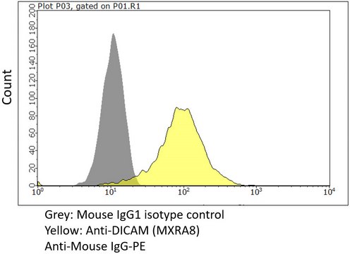 Anti-MXRA8 Antibody, clone 9E9