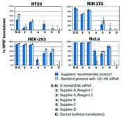 X-tremeGENE&#8482; siRNA Transfection Reagent Polymer reagent for delivering siRNA to common cell lines