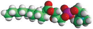 12:0 Lyso PC 1-lauroyl-2-hydroxy-sn-glycero-3-phosphocholine, powder