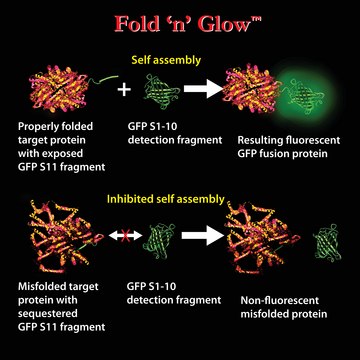 In Vitro Mammalian Optimized Split GFP Fold &#8242;n&#8242; Glow&#8482; Solubility Assay Kit (green)