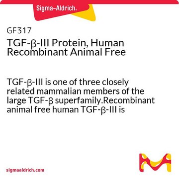 TGF-&#946;-III Protein, Human Recombinant Animal Free TGF-&#946;-III is one of three closely related mammalian members of the large TGF-&#946; superfamily.Recombinant animal free human TGF-&#946;-III is manufactured using all non-animal reagents.