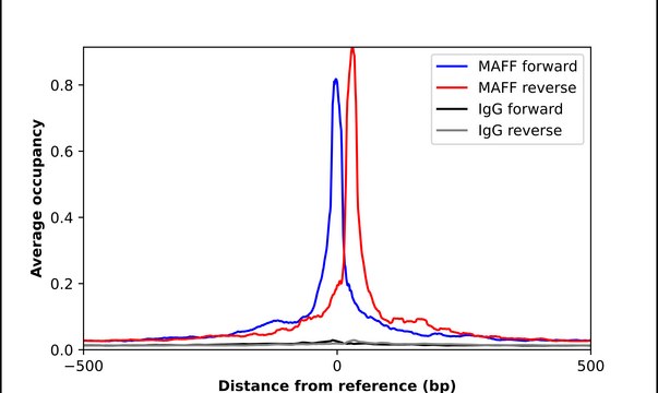 Anti-MAFF antibody produced in rabbit Prestige Antibodies&#174; Powered by Atlas Antibodies, affinity isolated antibody