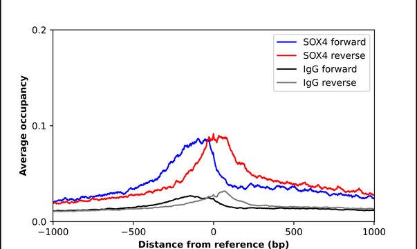 Anti-SOX4 antibody produced in rabbit Prestige Antibodies&#174; Powered by Atlas Antibodies, affinity isolated antibody, buffered aqueous glycerol solution