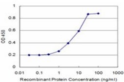 Monoclonal Anti-POLD4 antibody produced in mouse clone 2C11, purified immunoglobulin, buffered aqueous solution