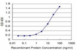 ANTI-MEF2A antibody produced in mouse clone 3H5, purified immunoglobulin, buffered aqueous solution