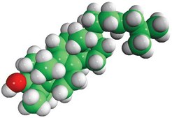 dihydrolanosterol Avanti Research&#8482; - A Croda Brand