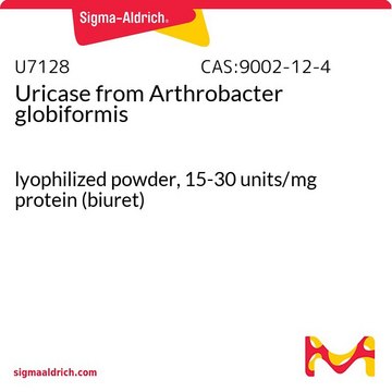 Uricase from Arthrobacter globiformis lyophilized powder, 15-30&#160;units/mg protein (biuret)