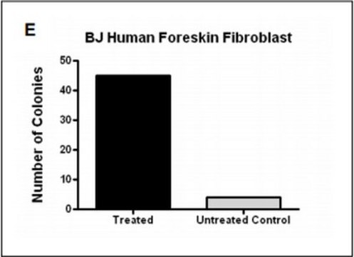 Human iPS Reprogramming Boost Supplement The Human iPS Reprogramming Boost Supplement enhanced the efficiency of human iPS colony formation over ten-fold and reduced the time to establish full reprogrammed colonies by nearly 50%.