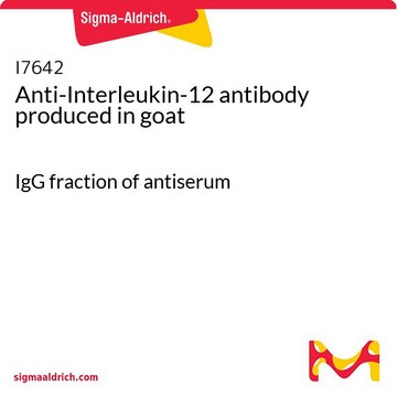 Anti-Interleukin-12 antibody produced in goat IgG fraction of antiserum