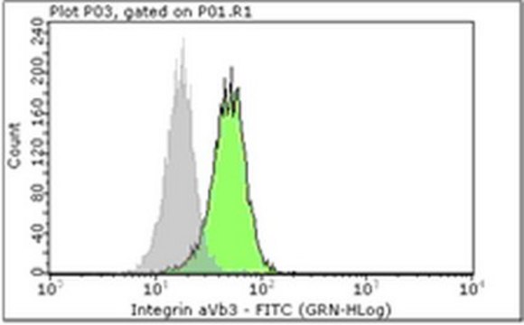 Milli-Mark&#174; Anti-Integrin &#945;V&#946;3 Antibody, clone LM609-FITC clone LM609, Milli-Mark&#174;, from mouse