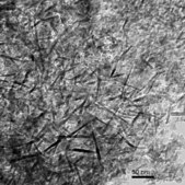 Aluminum oxide nanopowder, &lt;50&#160;nm particle size (TEM)